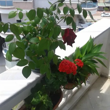 Appartement Aygun Mahmutlar